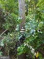  Old Palmer Road - Photo 13
