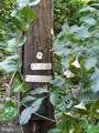  Old Palmer Road - Photo 14
