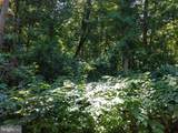 Old Palmer Road - Photo 6
