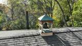 550 Speedwell Forge Road - Photo 82