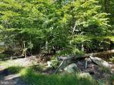 7285 Billingsley Road - Photo 4