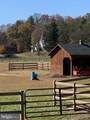 1461 Big Creek Road - Photo 99