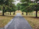 14847 White Oak Ridge - Photo 43
