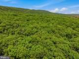 67 Tranquil Way - Photo 47