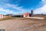 2919 Andrewville Road - Photo 7