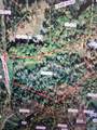 Lot C Sycamore Ln - Photo 2
