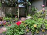 124 Grandview Road - Photo 57