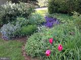 124 Grandview Road - Photo 59