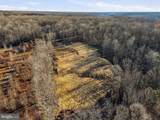 Lot 20 Rapidan Farms Drive - Photo 10