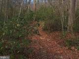  Fox Tail Road - Photo 1