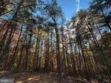 299 ASHTON WOODS - Photo 25