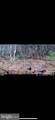  299 ASHTON WOODS - Photo 43