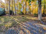 11615 Big Bear Lane - Photo 5