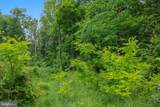 Evan Avenue - Photo 53