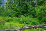  Evan Avenue - Photo 58