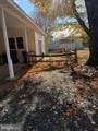 34640 Gooseneck Street - Photo 2