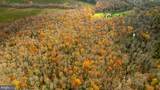 14100 Cedar Plantation Road - Photo 4