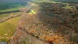 14100 Cedar Plantation Road - Photo 7
