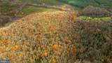 14100 Cedar Plantation Road - Photo 8
