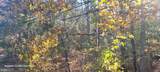  Rock Point - Photo 5