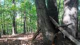 0 Oakcrest Ln - Photo 22