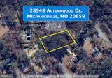 28948 Autumnwood Drive - Photo 5