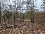 0 Indian Pipe Run - Photo 3