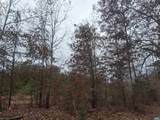 0 Indian Pipe Run - Photo 4