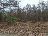 0 Indian Pipe Run - Photo 6