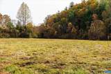 6424 Free Union Rd - Photo 16