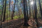 6424 Free Union Rd - Photo 48