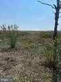 3241 Robbins Road - Photo 49