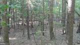  Calypso Trail - Photo 1