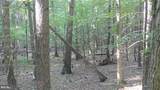  Calypso Trail - Photo 2