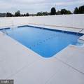 825 Stella Street - Photo 18