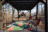 125 National Forest Access Road - Photo 4