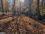 0 Digging Bear Ln - Photo 2