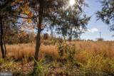 TBD Piney Grove Road - Photo 10