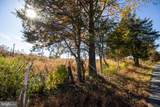 TBD Piney Grove Road - Photo 11