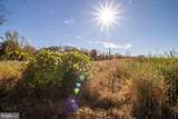 TBD Piney Grove Road - Photo 12