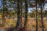 TBD Piney Grove Road - Photo 13