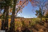 TBD Piney Grove Road - Photo 14