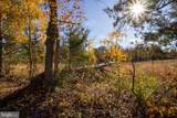 TBD Piney Grove Road - Photo 15