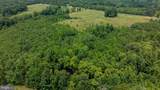 TBD Piney Grove Road - Photo 4