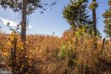 TBD Piney Grove Road - Photo 5