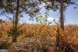 TBD Piney Grove Road - Photo 6