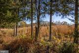 TBD Piney Grove Road - Photo 7