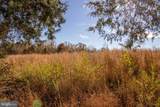 TBD Piney Grove Road - Photo 8