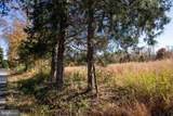 TBD Piney Grove Road - Photo 9