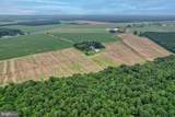 2238 Pig Neck Road - Photo 28
